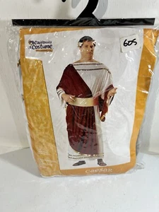 Toga Man Costume - Picture 1 of 7