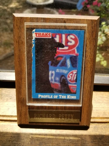 Richard Petty Progile of the King Collectible Plaque With Race Car Wood Frame Cover