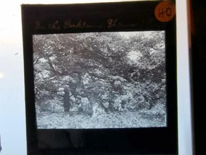 Magic Lantern Slide Late 1800's early 1900's In the bushland - Picture 1 of 1