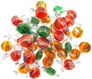 Coastal Bay Fett-/ZUCKERFREI 8 Unzen verschiedene Fruchtaromen Süßigkeiten Bonbons - Bild 1 von 5