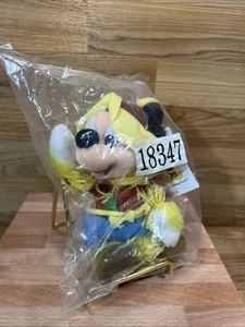 Disney Walt Disney World - Scarecrow Mickey Mouse Sitzsack - Bild 1 von 6
