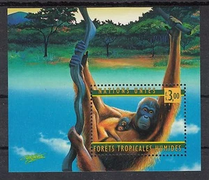 ONU Ginebra 1998 Bloque 10 - Selvas tropicales/vida silvestre/orangután/como nuevo nunca articulado - Imagen 1 de 1
