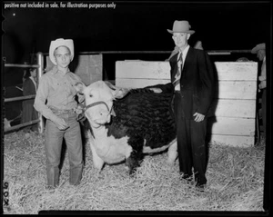 NEGATIVO STAMPA GIOVANE COWBOY E VECCHIO UOMO SCARNO con PREMIO GIOVENCA TORO MANZO - Foto 1 di 3