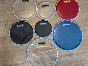 Evans Schlagzeugfelle Tom Snare Drumhead 6 8 10 12 13" Side Hazzy 200 300 G1 G2 Clear - Bild 1 von 66
