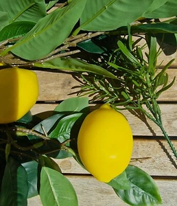Naturseife "Zitrone-Rosmarin " mit Olivenöl extra, handgemacht - Bild 1 von 1