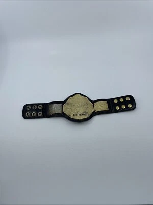 "Cinturón de título réplica mini campeonato mundial peso pesado WWE Ric Flair 11""" Foto 1 de 4