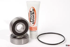 KIT CUSCINETTI RUOTA POSTERIORE HONDA CX500 1978-1979 PIVOT WORKS PWRWS-H66-000 - Foto 1 di 1