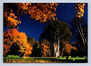Cartolina Autunno nel New England di Jim McElholm S-317 non spedita - Foto 1 di 2