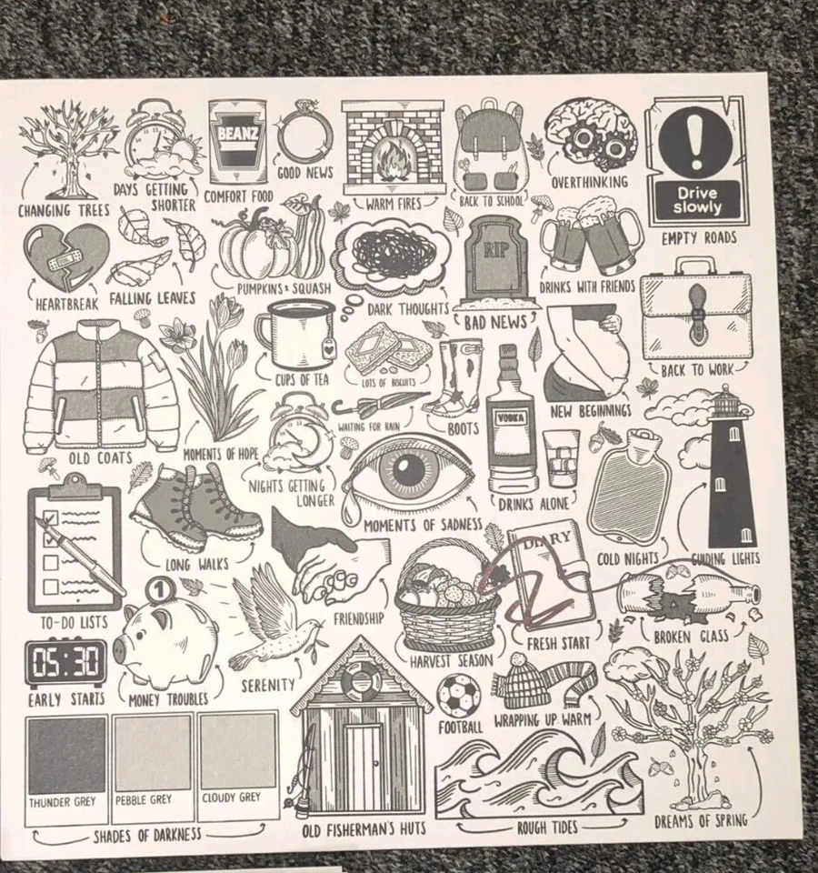 ED SHEERAN *Hand Signed*- AUTUMN VARIATIONS LP Vinyl  - Image 1 of 1