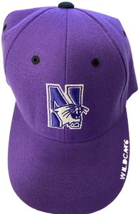 Northwestern Wildcats  TOW NCAA  Big Ten Conference Men's Purple  Adjustable Hat - Picture 1 of 5