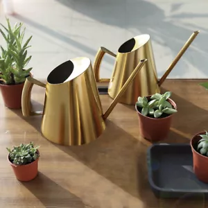 Edelstahl Gießkanne Zimmergießkanne Blumenkanne Design Kanne Zimmerpflanzen Tool - Bild 1 von 35