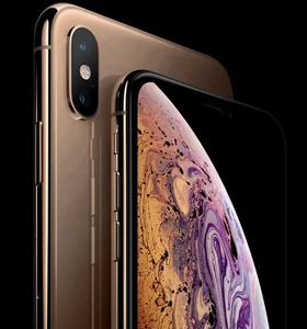 iPhone XS Max 256 Go Or Occasion Pas De Rayures Fonctionne Parfaitement Débloqué Telus Fido - Photo 1 sur 4