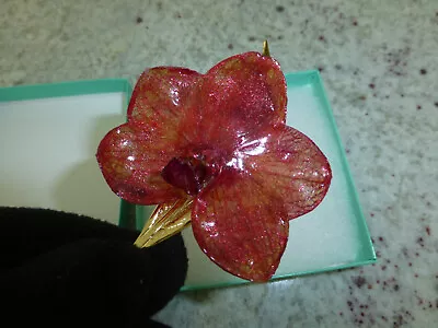 Phalaenopsis Real Phal Orchid Preserved Flower 14K Gold Plated Hair Clip - Image 1 of 4