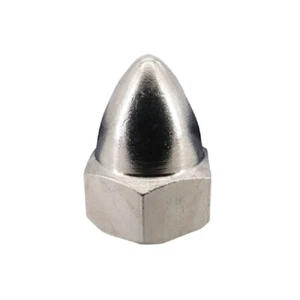 Pentair 071413 Acorn Nut for Pentair IntelliFlo XF Inground Variable Speed Pump - Picture 1 of 2