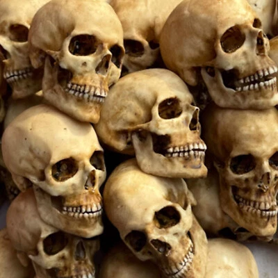 1/6 Scale Human Skull Skeleton Pvc Model For 12" Action Figure Parts Prop - Image 1 of 4