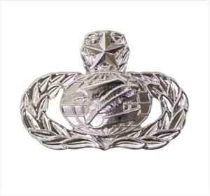 GENUINE U.S. AIR FORCE BADGE: ADMINISTRATION: MASTER - MIDSIZE - Picture 1 of 1