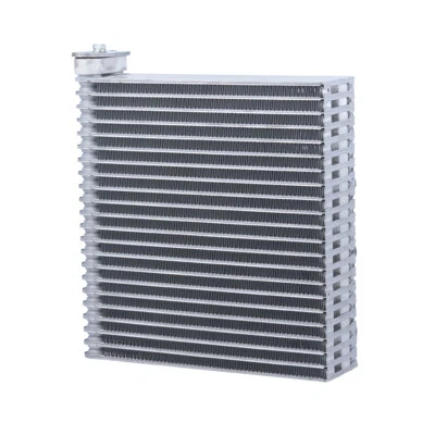 Núcleo evaporador de CA delantero para Volvo C30 C70 S40 V50 2004-2011 2012 2013 PNS Foto 1 de 2