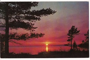 SUNSET AMONG THE PINES The Water Wonderland MICHIGAN MI POSTCARD 1959 Free Ship - Picture 1 of 1