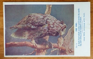 Nestles Milch Postkarte - Die Eule - Nr. 4 / Nr. 575 - Bild 1 von 2