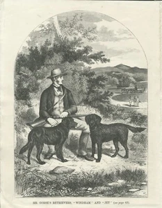 FLAT & CURLY COATED RETRIEVER DOGS AND OWNER 1867 ANTIQUE DOG PRINT ENGRAVING - Picture 1 of 1