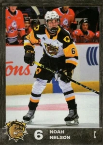 2021/22 Hamilton Bulldogs - NOAH NELSON - Picture 1 of 2