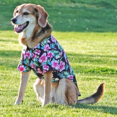Doggie Design Paradise Nights  Dog Hawaiian Camp Shirt - XXS-2XL - Image 1 of 2