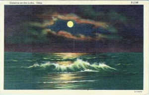 Geneva on the Lake Ohio Postcard S-1148 Posted - Picture 1 of 2