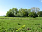 Photo 6x4 Hop Garden Field Albourne The name of the field according to Al c2014