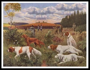 IRISH RED & WHITE SETTER DOGS SHOOTING SCENE VINTAGE STYLE DOG ART PRINT POSTER - Picture 1 of 1