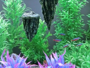Schwebender Stein Polyresin Medium (11x7x6) Aquarien Aquarium Stein Zubehör Deko - Bild 1 von 1