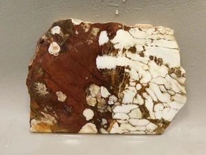 Wild Horse Stone Slab Unpolished Rough Rock Arizona #O2 - Picture 1 of 6