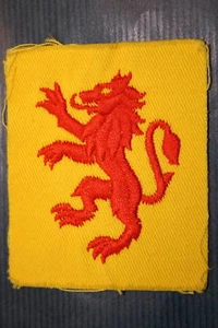 PARCHE DE COMANDANTE DE TANQUE ROYAL SCOTS DRAGOON GUARDS R.S.D.G - Imagen 1 de 1