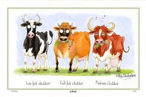 Samuel Lamont UK Cheddar Kühe Comical Linen Union Küche Geschirrtuch - Bild 1 von 1