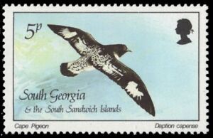 SOUTH GEORGIA 113 (SG165) - Cape Pigeon "Daption capense" (pb58535)