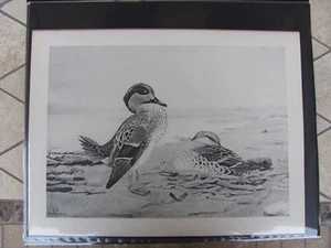 Original   Rex Brasher#139 Hand Painted Bird Print Green Wing Teal  #139REX2 DSS - Picture 1 of 1