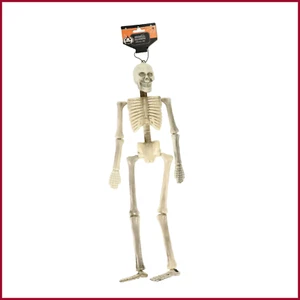 Skeleton Decoration Human Realistic Scary Plastic Prank Joke Halloween 18 inch - Picture 1 of 2