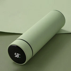 Insulated Water Bottle Coffee Mug Intelligent Display Temperature Vacuum Cup - Picture 1 of 14