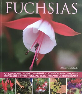 Fuchsias By Andrew Mikolajski. New - Picture 1 of 2