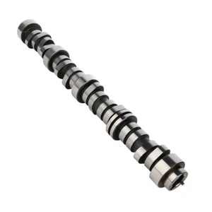 Hydraulic Roller Camshaft Fit For Chevrolet 12625436 5.3L 2007-2014 - Foto 1 di 11
