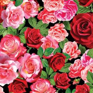 TRUE ROMANCE ROSE GARDEN BY BENARTEX RED ROSES ON BLACK FLORAL Fabric 1/2 YD - Picture 1 of 8