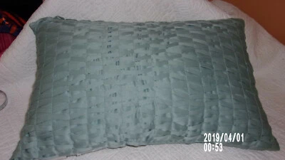 Liz Claiborne 绿色打褶图案正面/长方形抛枕/20" X 13 — 第 1/4 张图片