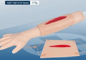 Modelo de entrenamiento de sutura quirúrgica con laceración profunda y simulación de heridas por puñalada - Imagen 1 de 6