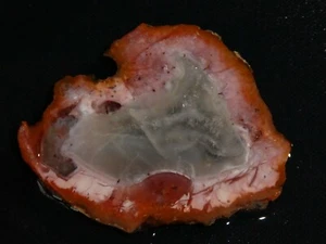 Berber Agate slab- 2 3/4 " x 2 1/4" from Morocco--rough-cabbing-display - Picture 1 of 3