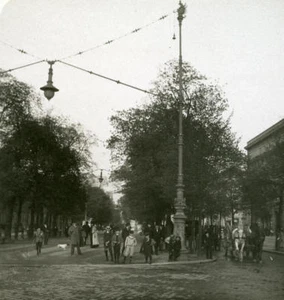 Deutschland Berlin Unter den Linden altes Stereoview Foto NPG 1900 - Bild 1 von 3