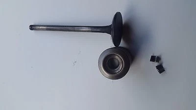 Hyundai Galloper II 1 X Exhaust Valve with Spring 2,5 Td 73 Kw for D4B2 Motor - Image 1 of 2