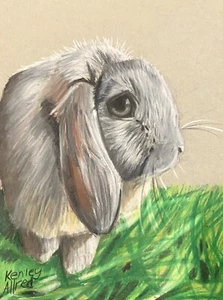 Original Art Bunny Rabbit Colored Pencil Drawing Artwork Size 6”x8” - Picture 1 of 3