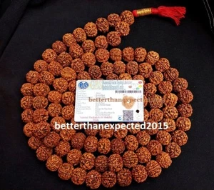 6 MUKHI RUDRAKSHA SIX FACE RUDRAKSH NEPAL 16-18 MM BEAD MALA 109~ CERTIFIED - Picture 1 of 3