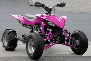 Shock Cover for Yamaha YFZ 450 R , Couvre Amortisseur, 3 Monster Pink - Picture 1 of 4