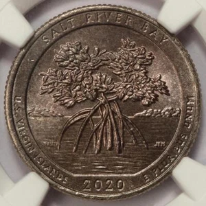 2020 D NGC MS65 Improperly Annealed Planchet Salt Bay NP Quarter Mint Error Rare - Picture 1 of 4