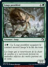 Loup pestiféré x4 / Chasse de Minuit FR - Magic the gathering